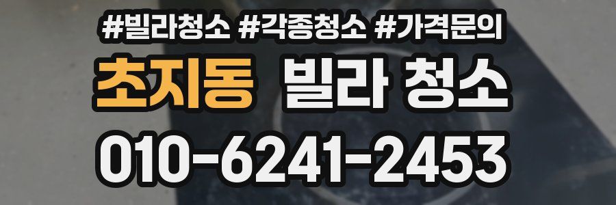 초지동 빌라 청소