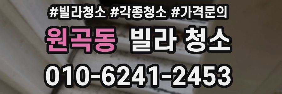 원곡동 빌라 청소