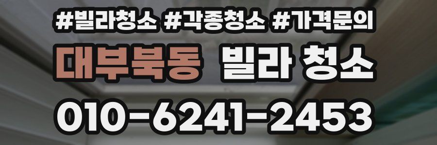 대부북동 빌라 청소
