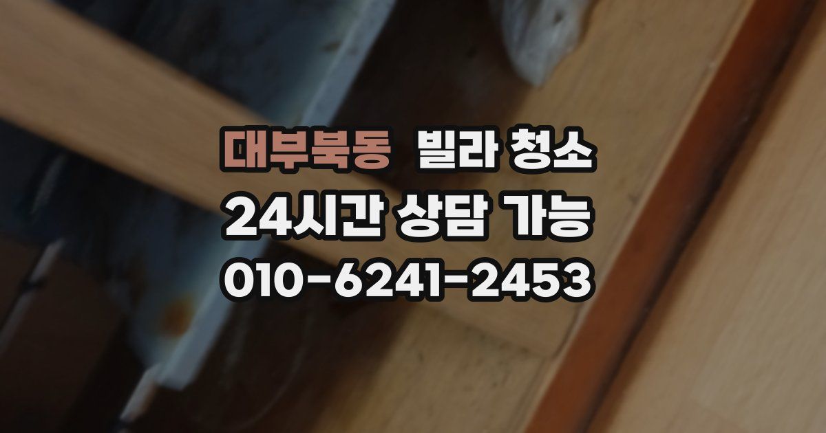 대부북동 빌라 청소