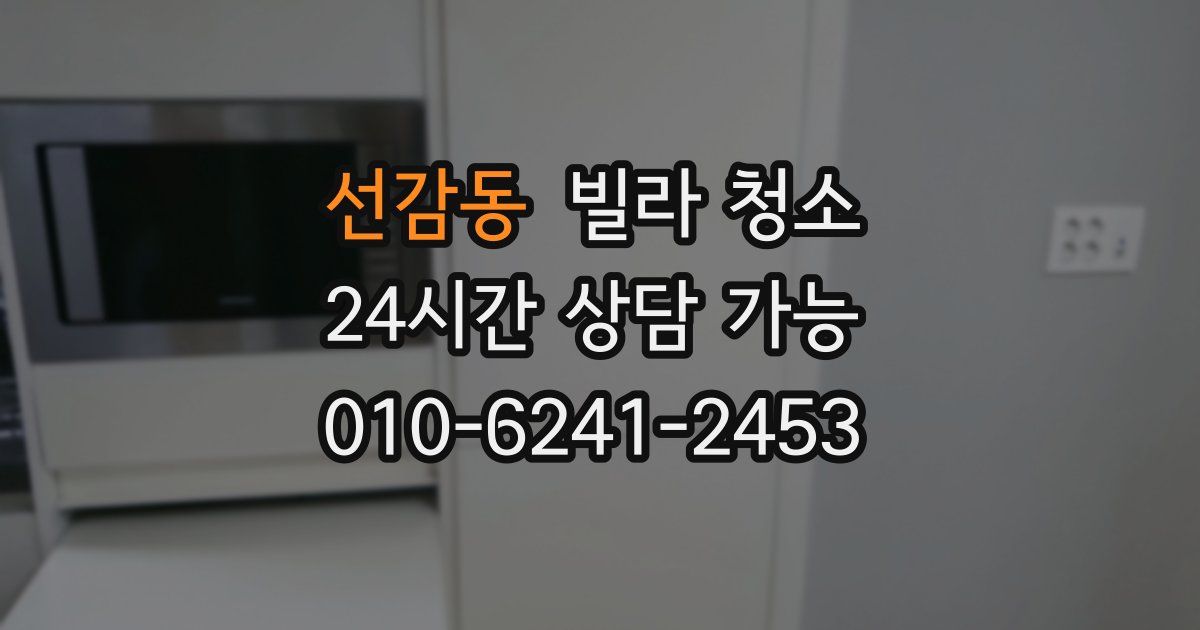 선감동 빌라 청소