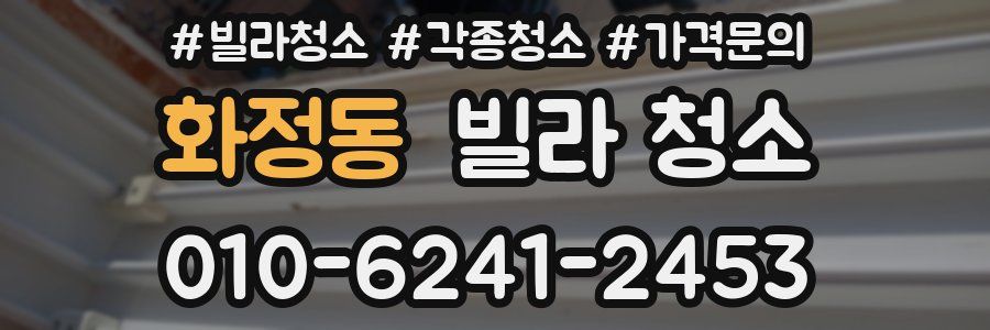 화정동 빌라 청소