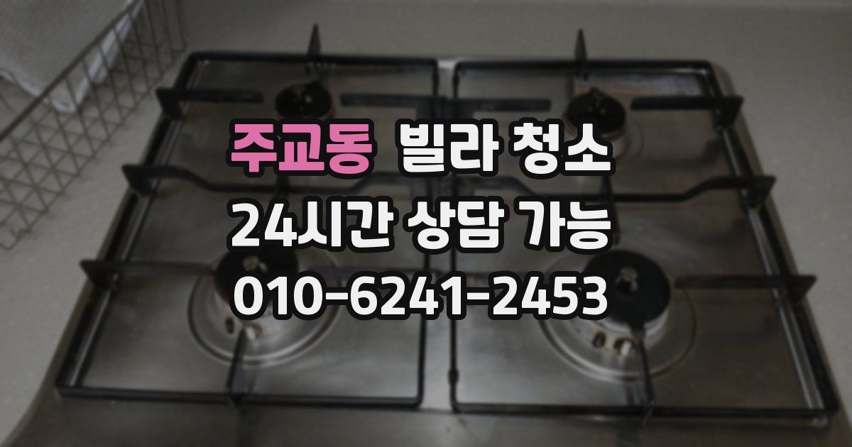 주교동 빌라 청소