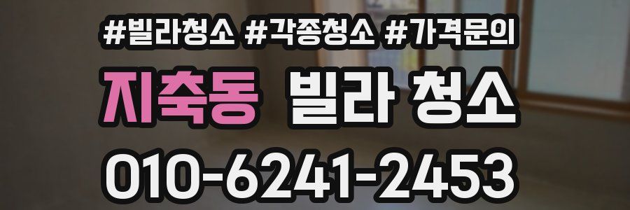 지축동 빌라 청소