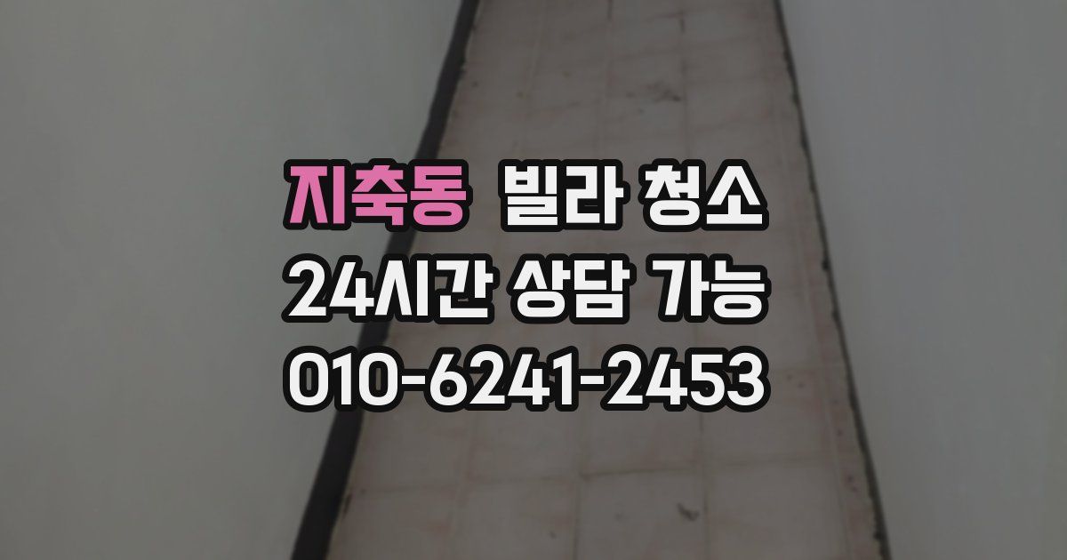 지축동 빌라 청소