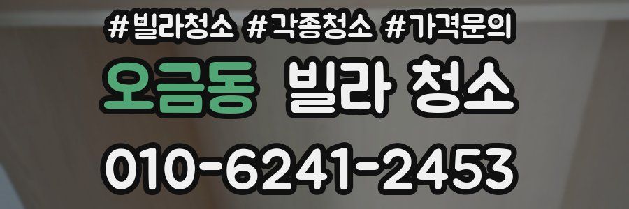 오금동 빌라 청소