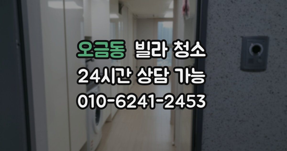 오금동 빌라 청소