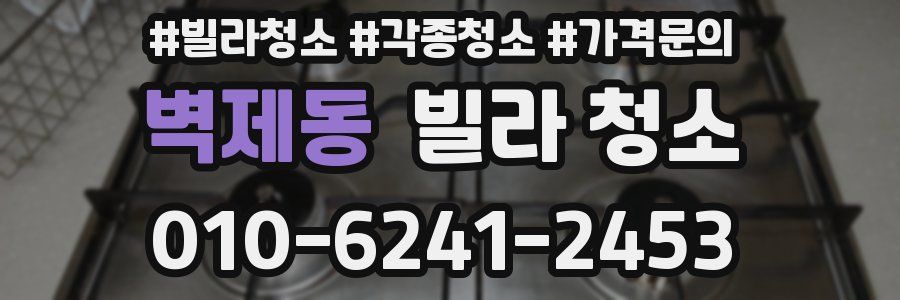 벽제동 빌라 청소