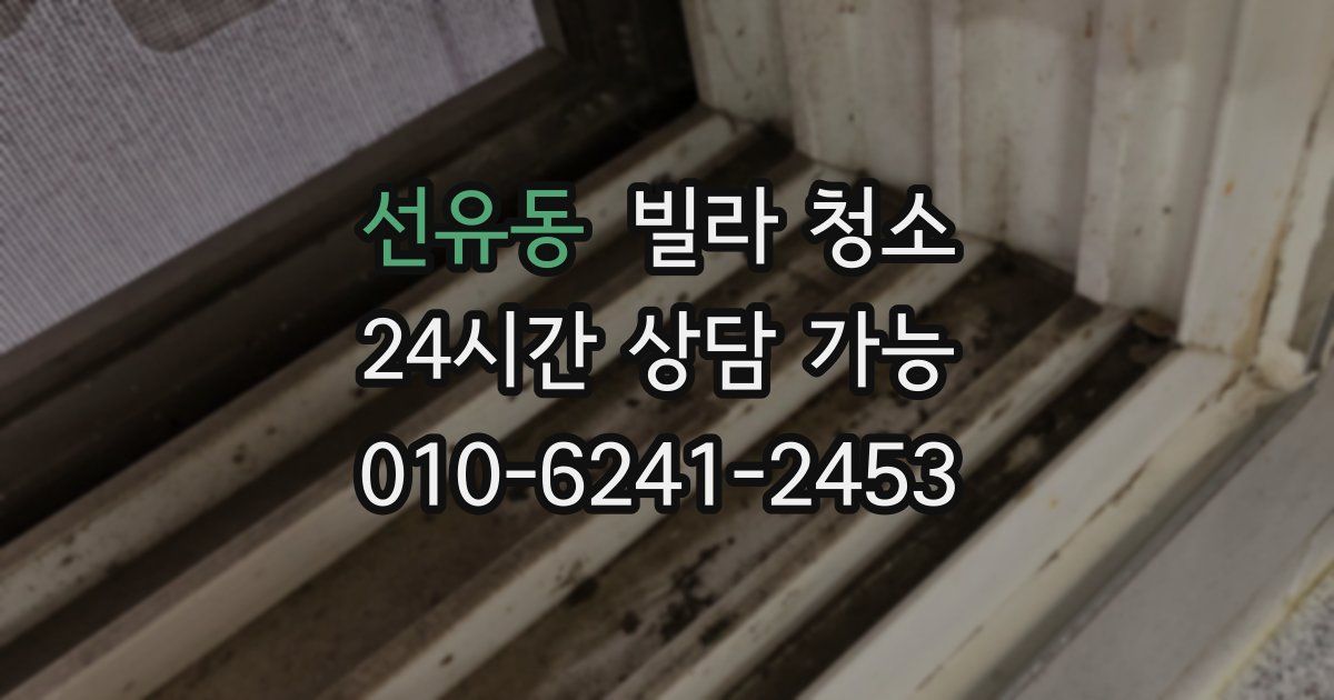 선유동 빌라 청소