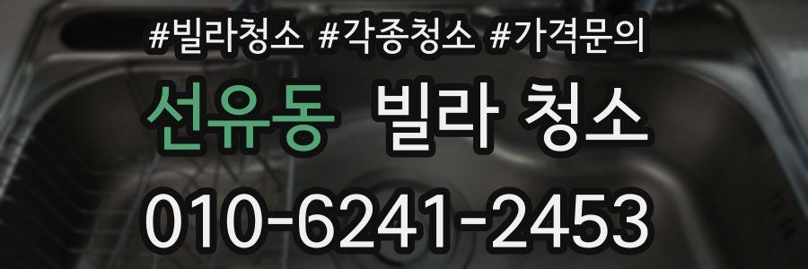 선유동 빌라 청소