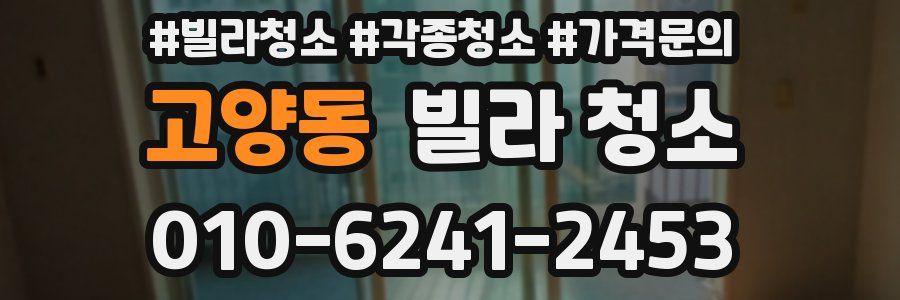 고양동 빌라 청소