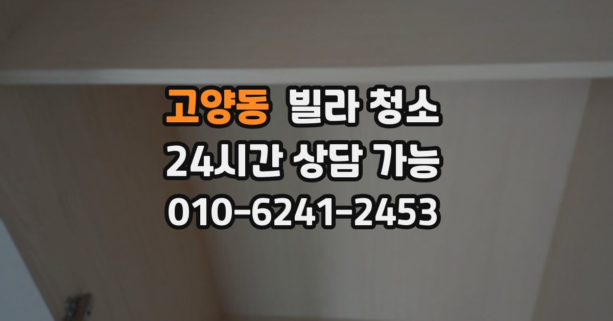 고양동 빌라 청소