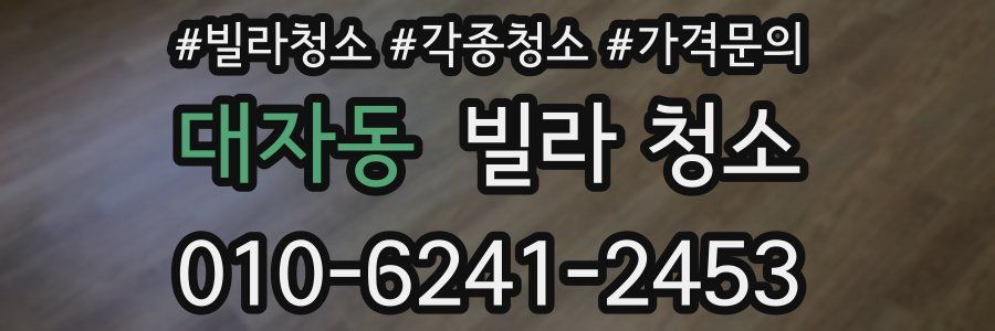 대자동 빌라 청소