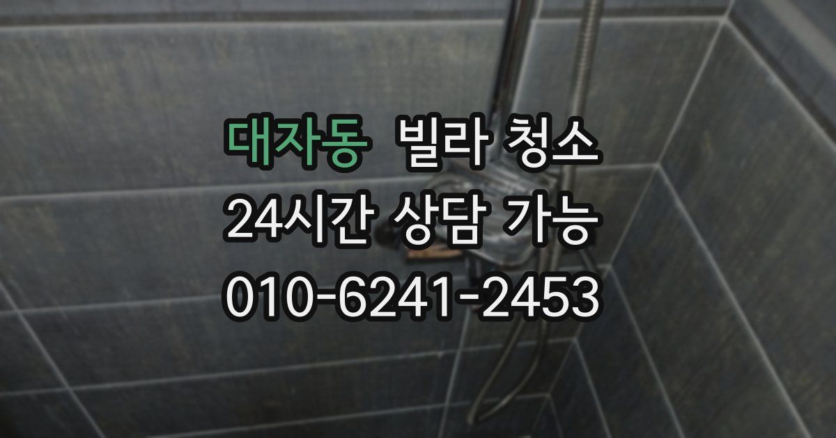 대자동 빌라 청소