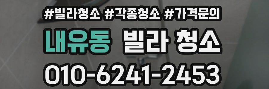 내유동 빌라 청소