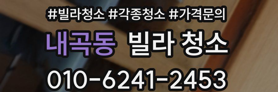 내곡동 빌라 청소