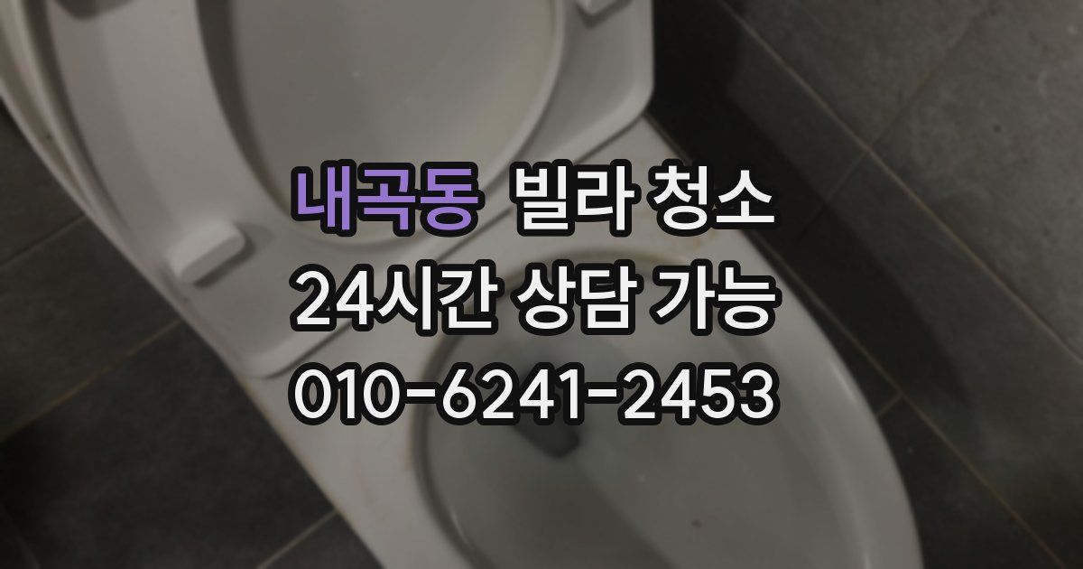 내곡동 빌라 청소