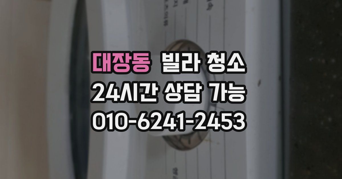 대장동 빌라 청소