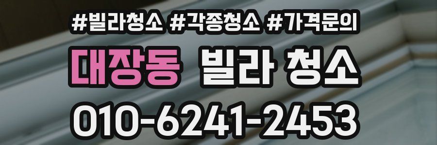 대장동 빌라 청소