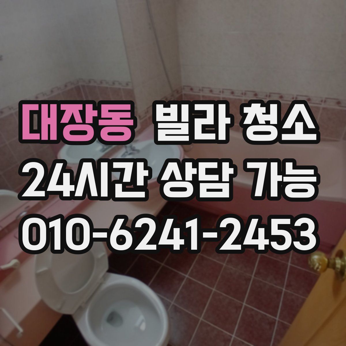 대장동 빌라 청소