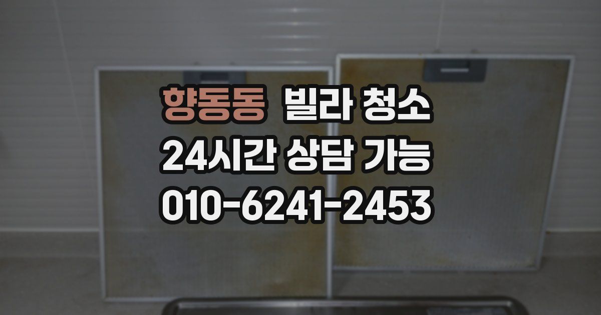 향동동 빌라 청소