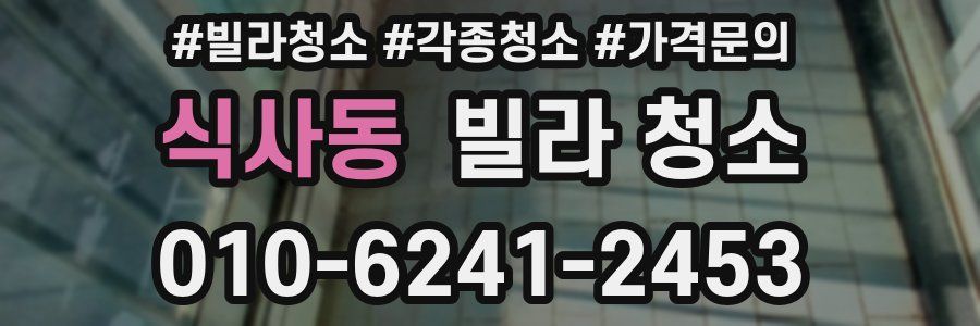 식사동 빌라 청소