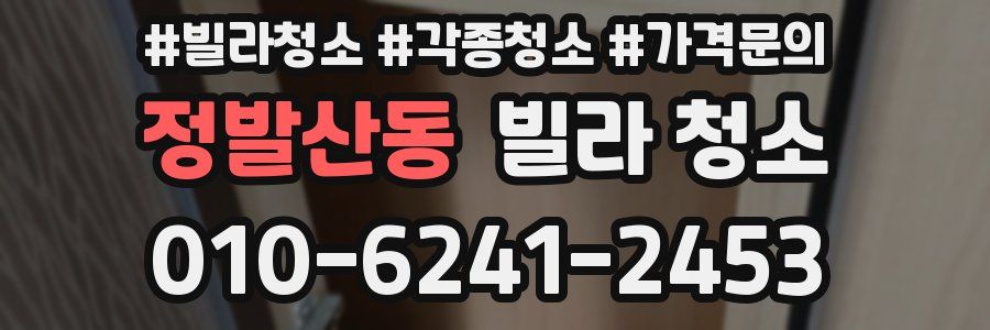 정발산동 빌라 청소