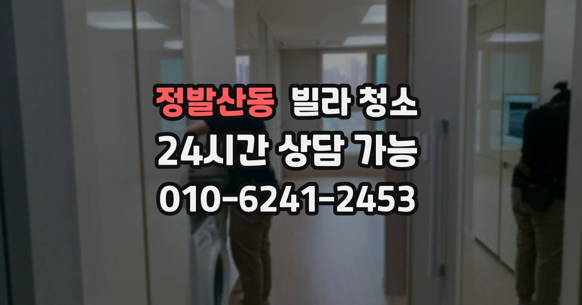 정발산동 빌라 청소