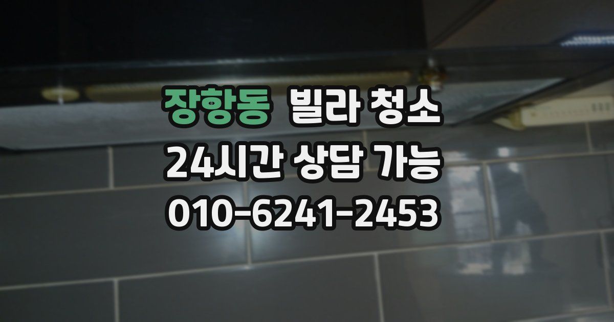 장항동 빌라 청소