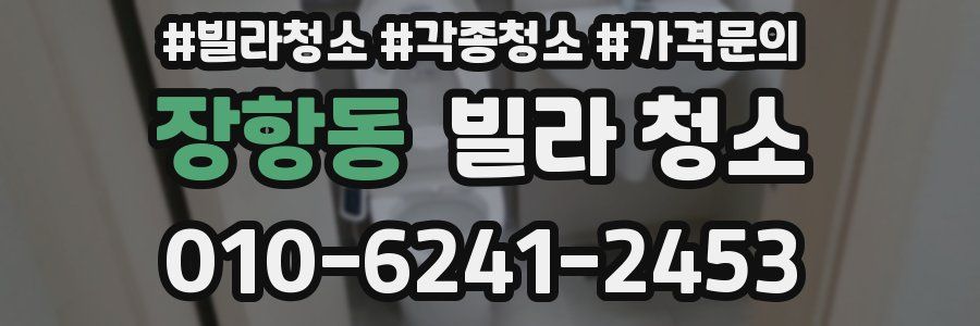 장항동 빌라 청소