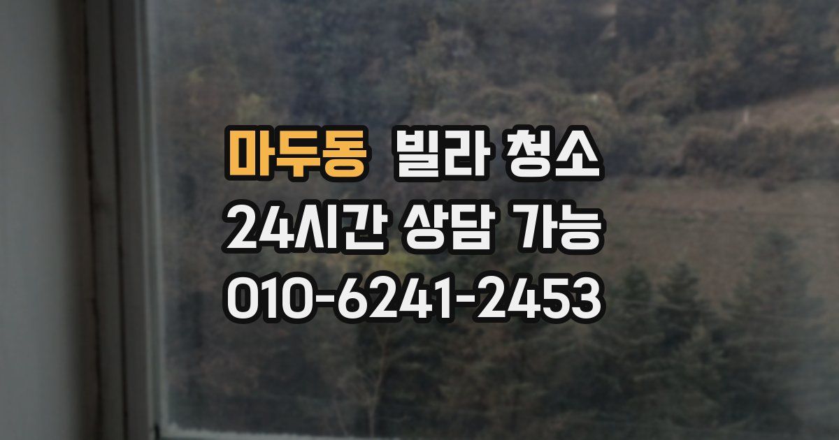 마두동 빌라 청소