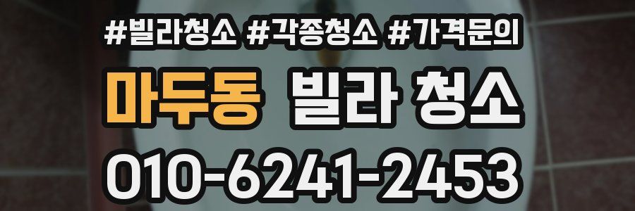 마두동 빌라 청소