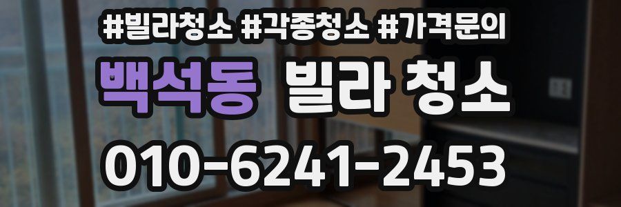 백석동 빌라 청소