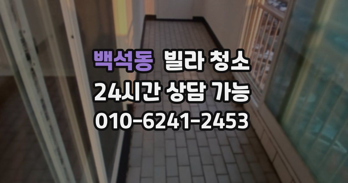 백석동 빌라 청소