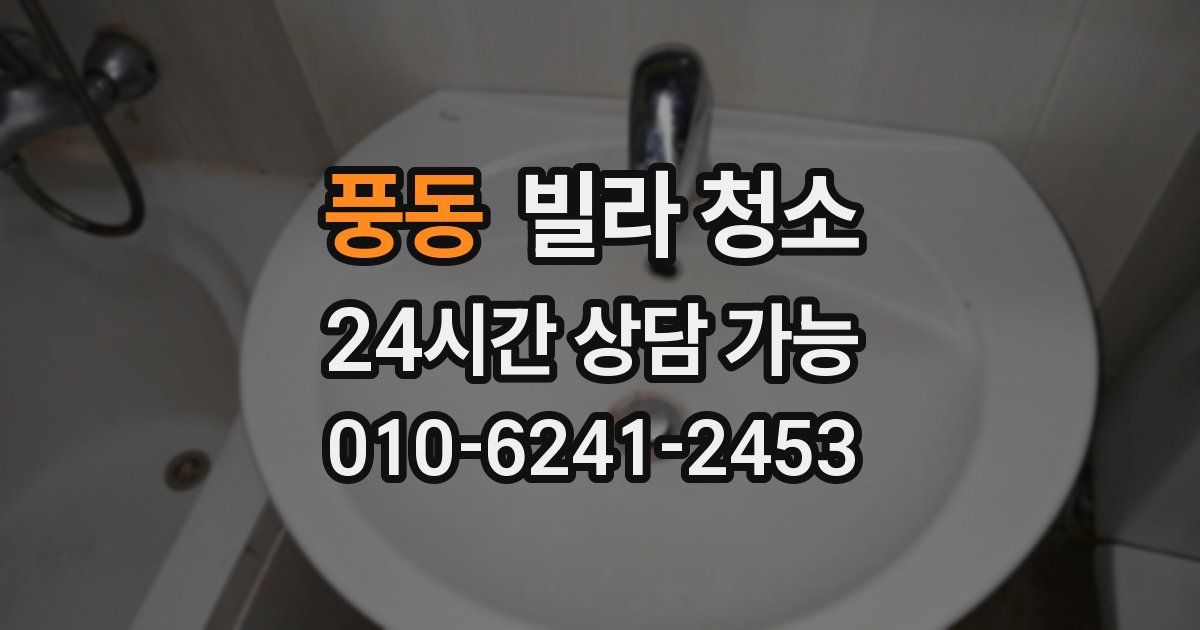 풍동 빌라 청소