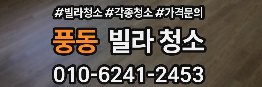 풍동 빌라 청소