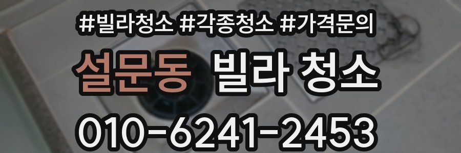 설문동 빌라 청소