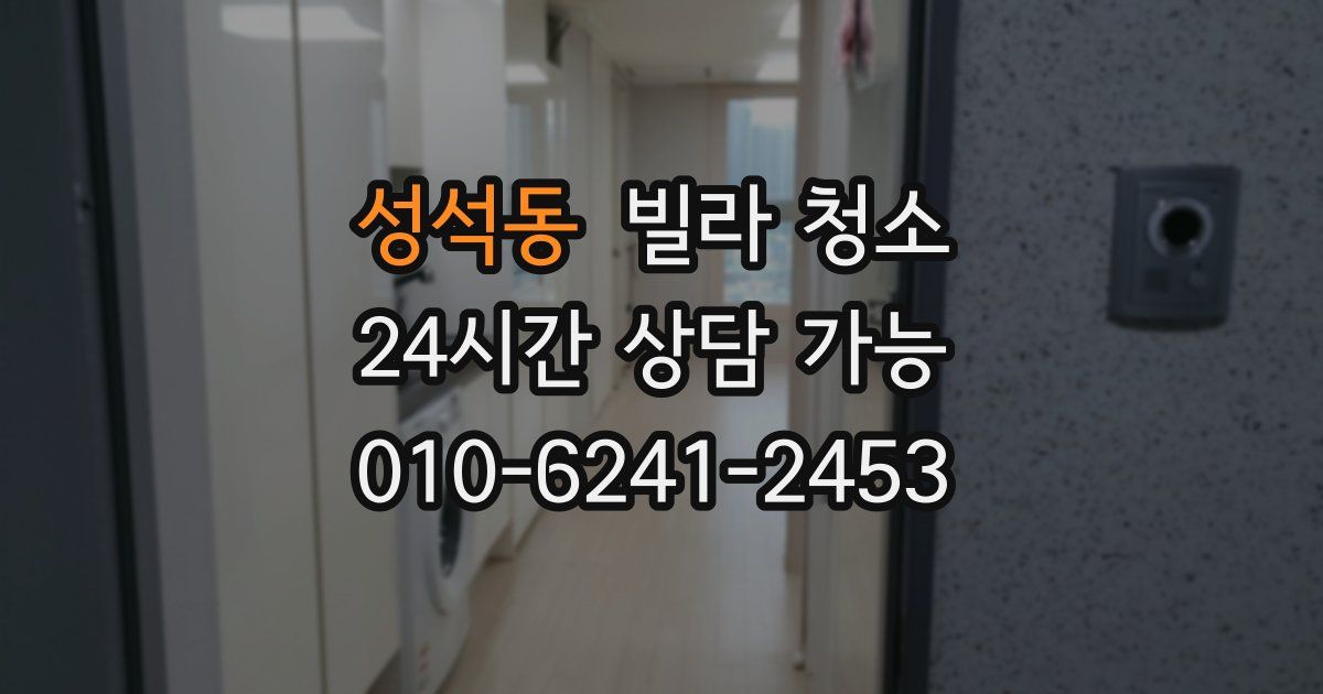 성석동 빌라 청소