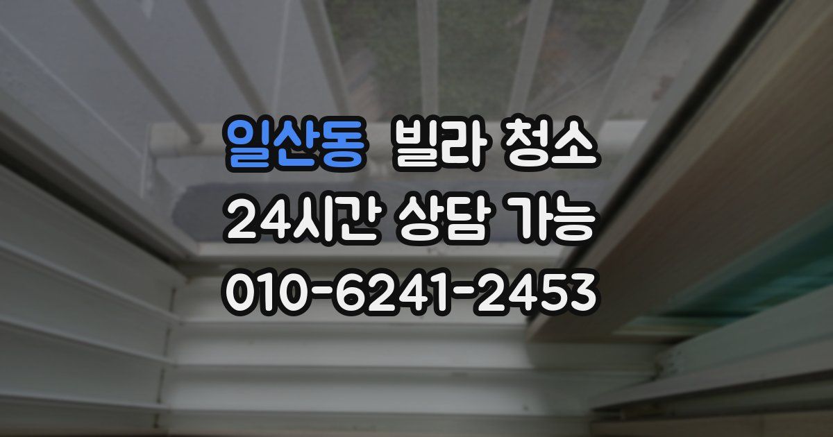 일산동 빌라 청소