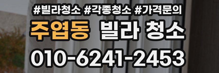 주엽동 빌라 청소