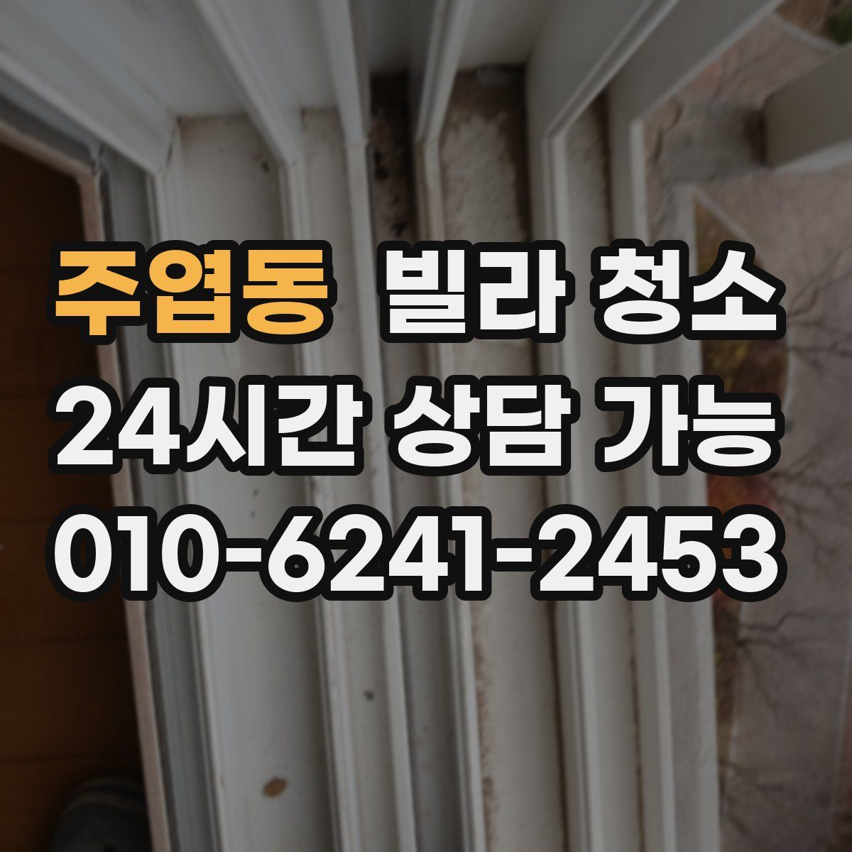 주엽동 빌라 청소