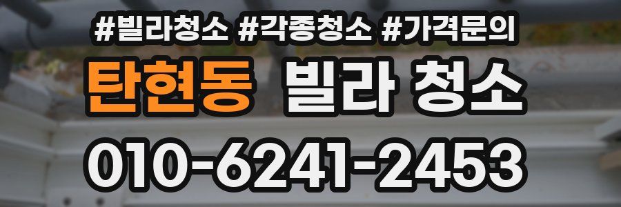 탄현동 빌라 청소