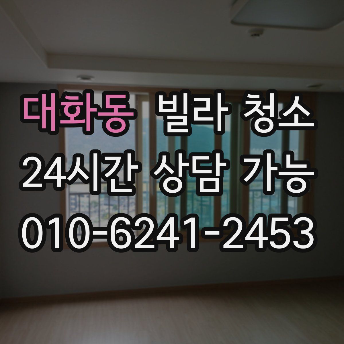 대화동 빌라 청소