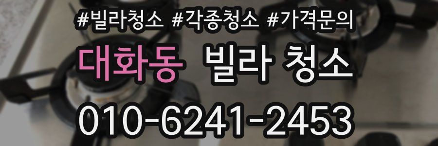 대화동 빌라 청소