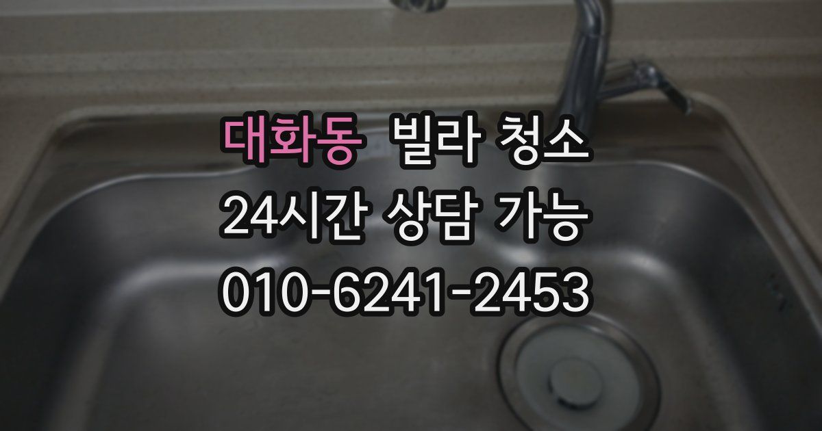 대화동 빌라 청소