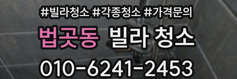 법곳동 빌라 청소