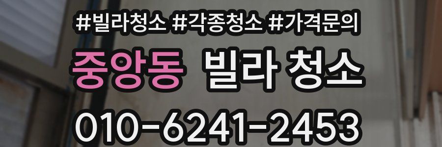 중앙동 빌라 청소
