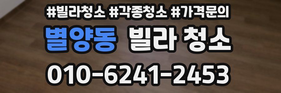 별양동 빌라 청소