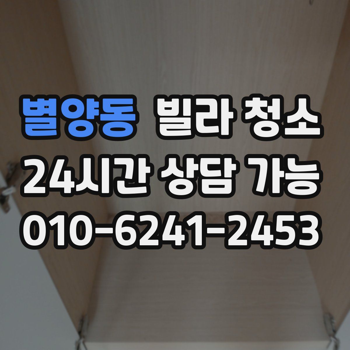 별양동 빌라 청소