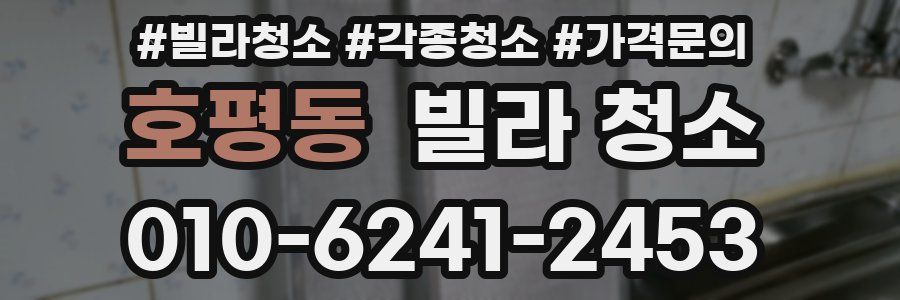 호평동 빌라 청소